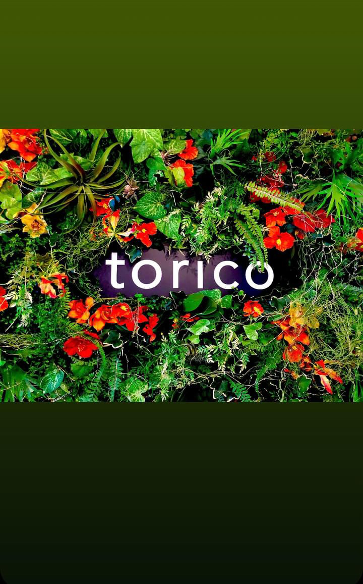 からあげ専門店 TORICO